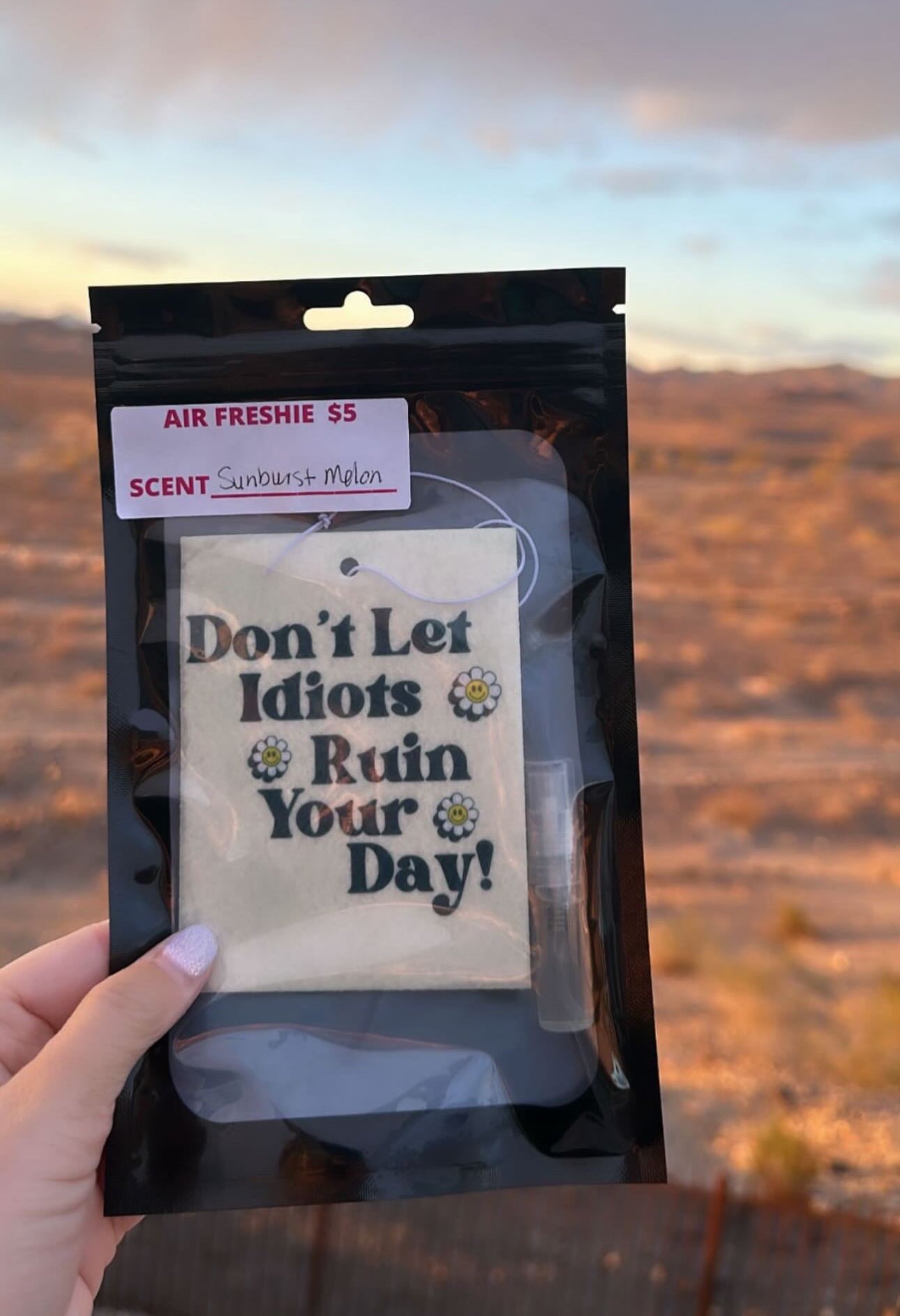 Car Air Freshies - Scented with refill bottle -Customs available