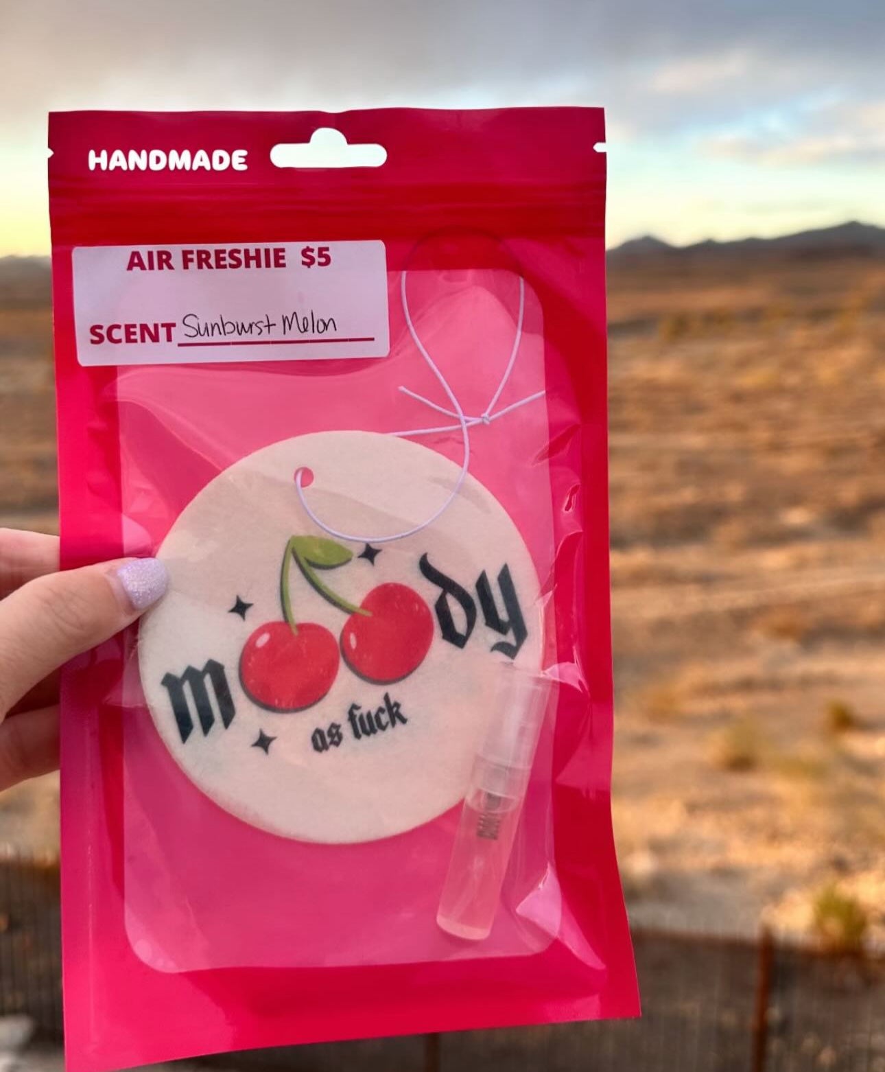 Car Air Freshies - Scented with refill bottle -Customs available