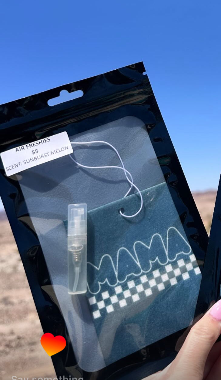Car Air Freshies - Scented with refill bottle -Customs available