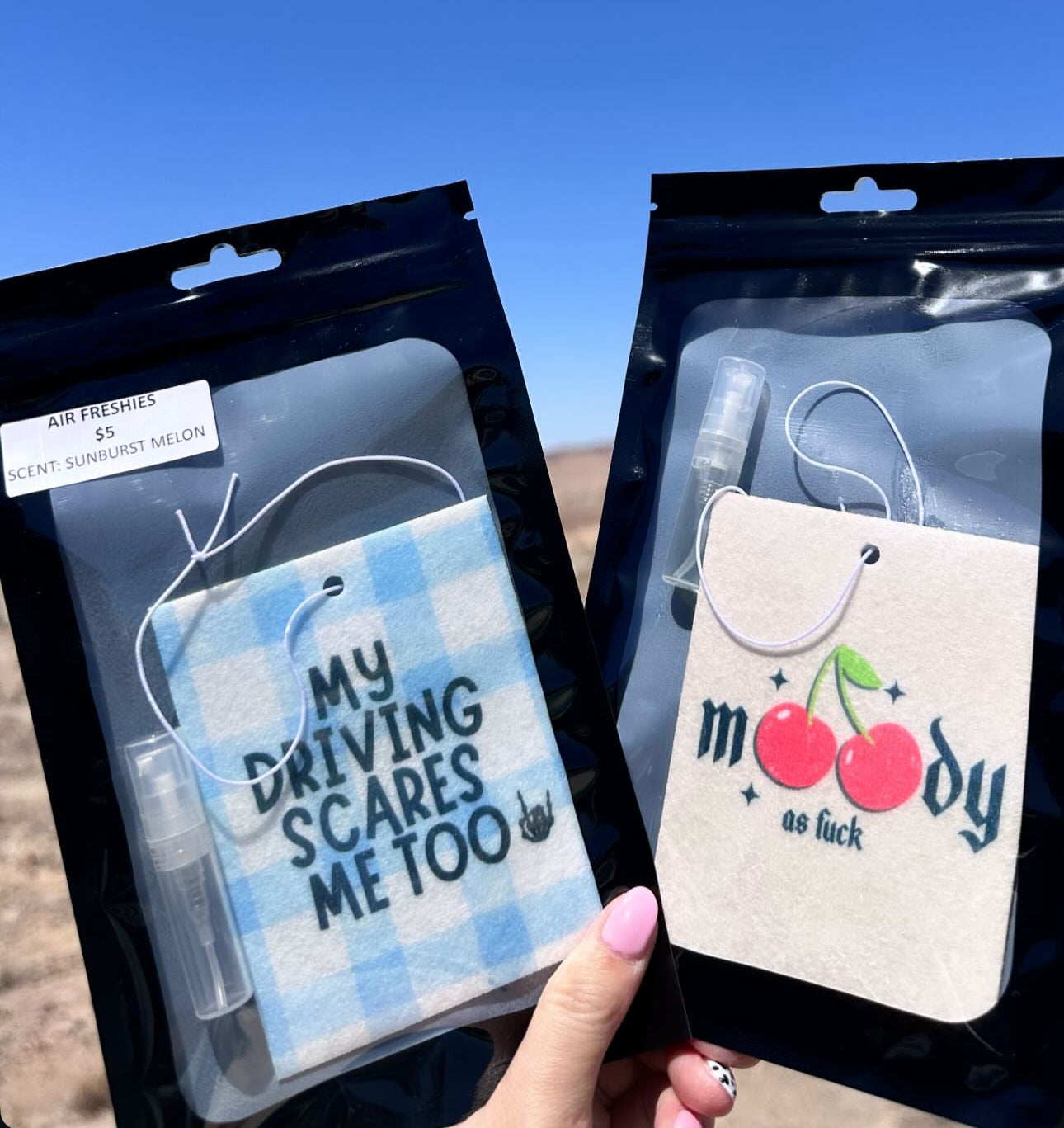 Car Air Freshies - Scented with refill bottle -Customs available