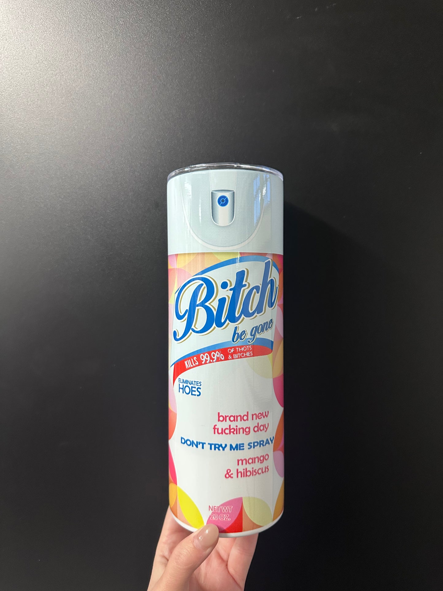 Bitch Be Gone Stainless Steel 20oz